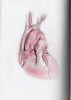 Broken heart