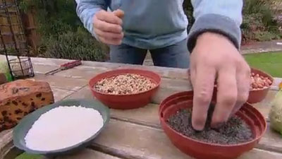 seeds