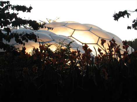 Early Bird Walk at Eden