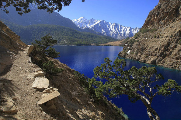 dolpa_2.jpg