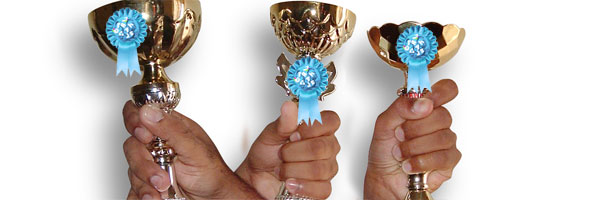 ChartBlog Awards