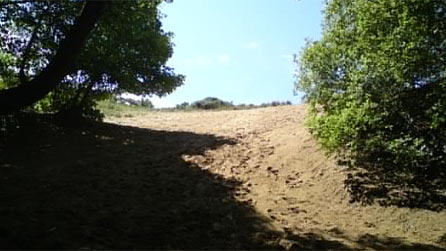 dunes.jpg