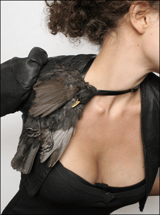 BirdShoulderPieceblog.gif