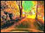 Walsall Illuminations