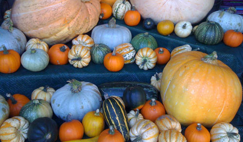 squash