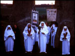 Druids