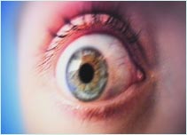 Eye