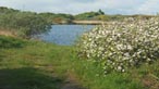 Mynedfa i'r llyn
