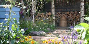bees_300x150.jpg