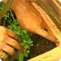 The 3cm (1in) watering gap 