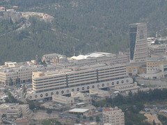 IMG_0386.JPG