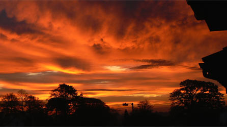 sunrise_shane_phoenix.jpg