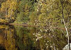 Loch Garten