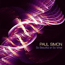Review of So Beautiful or So What