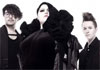 The Gossip