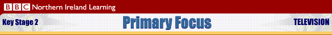 Primary Focus