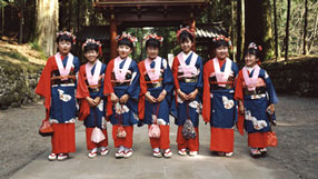 Useful facts about the Japanese language