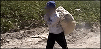 boy203_100.gif