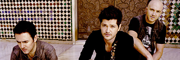 The Script