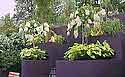 Planting