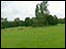 Field