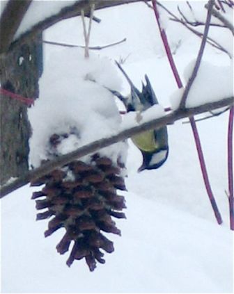 spring9.jpg