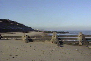 Ellie has a private place