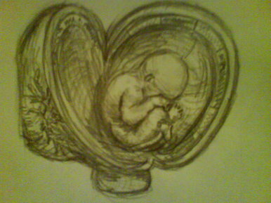 Da Vinci Foetus