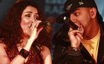 Gunjan and Blitzkrieg