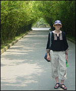 Colletta in Chengdu