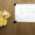 Pudsey runs a tight ship on set, with the only sound permitted being the shaking of charity collection buckets.