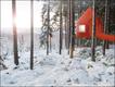  Foto: Cortesía Treehotel