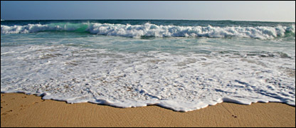 beacha.jpg