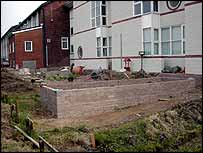 The garden
