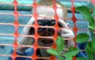 Brian