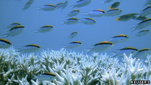 Great Barrier Reef