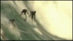 Surfistas no Havaí