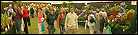 Click to see eight views of Shrewsbury Flower Show