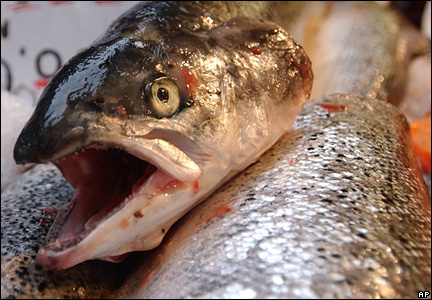 Farmed fish