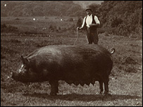 Commoner in 1906