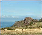 Rolled-up hay 