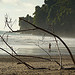 The Pacific, Costa Rica