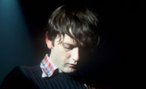 Pulp