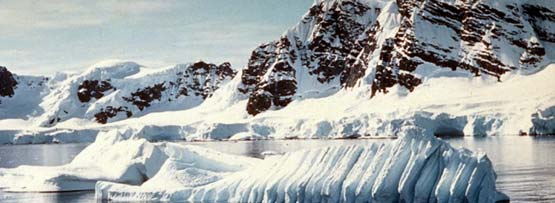 Ice