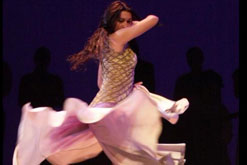 Flamenco Dancer