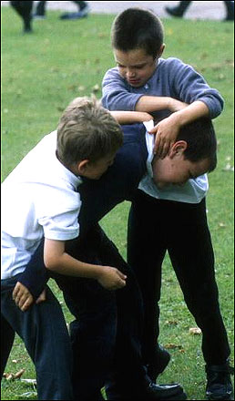 pelea1.jpg