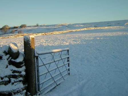 snow3.JPG