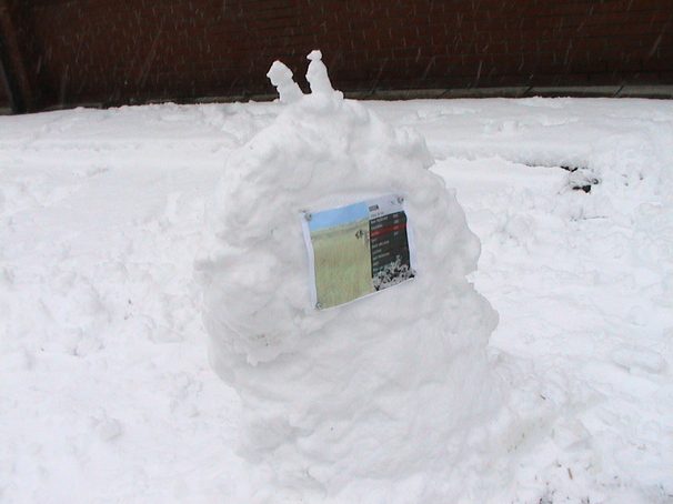 The Snow TV