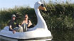 Swandown