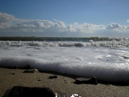 beacha.JPG